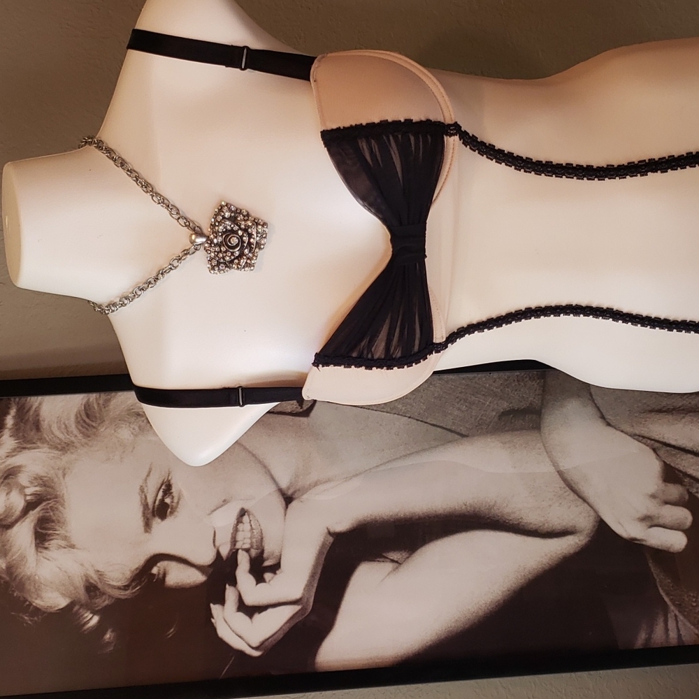 Victoria's Secret teddy - Picture 1 of 6